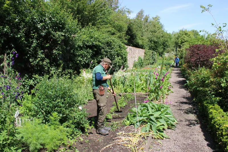 Evergreen crew member at work in a landscaped yard