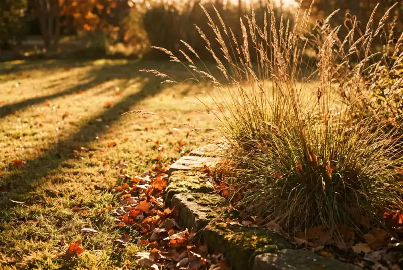 Autumn light across a southern garden, leaf litter drifted against a stone border
